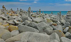 Featured image of post 10,000 Attempts